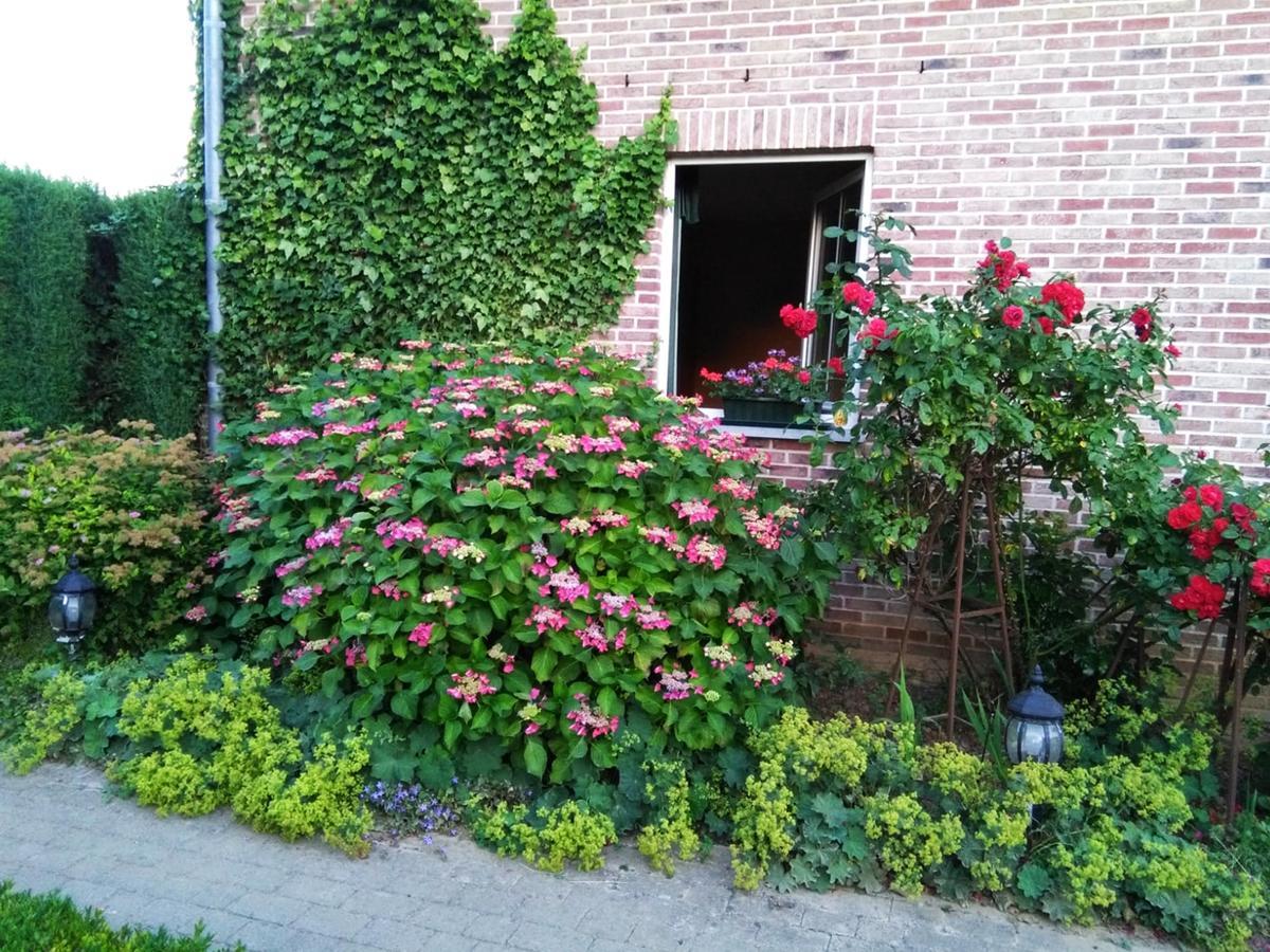 Hotel In Den Hoek Holsbeek Exterior photo